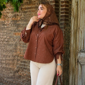 شومیز شاین آستین پاپیون لیندا 4560057